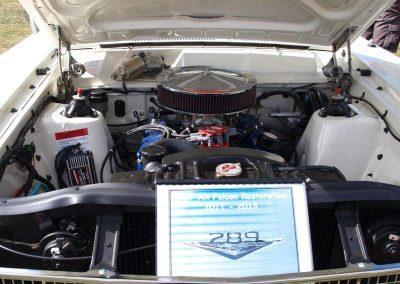 Show & Shine 2014 AT