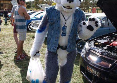 Show & Shine 2014 BC