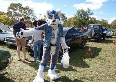 Show & Shine 2014 BD