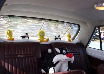 Show & Shine 2014 BE