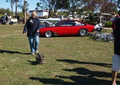 Show & Shine 2013 DN